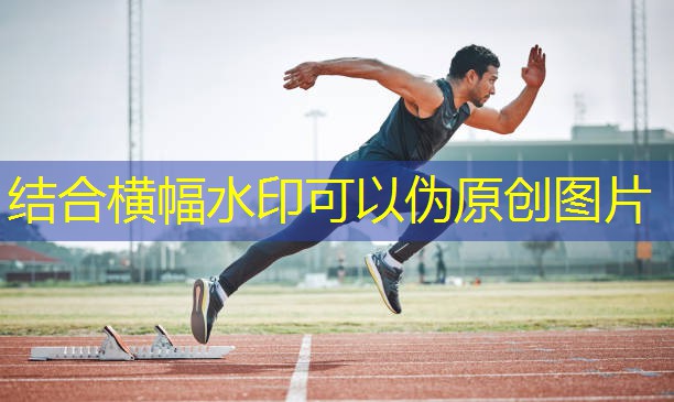 健身房用的健身器材