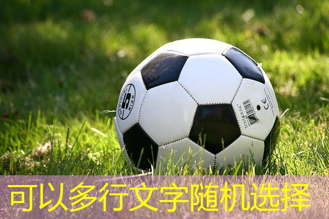 400米塑胶跑道起跑线 400米塑胶跑道起跑线