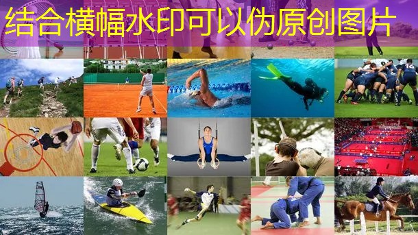实用的篮球步伐训练器材