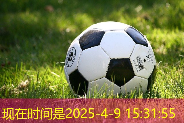 室内徒手健身减肥计划