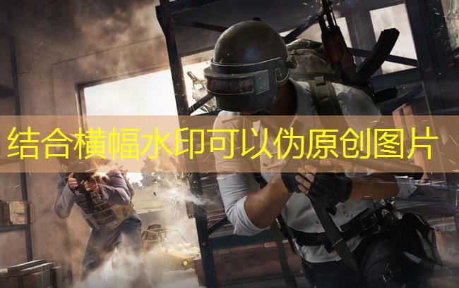 什么花适合放健身房室内 什么花适合放健身房室内