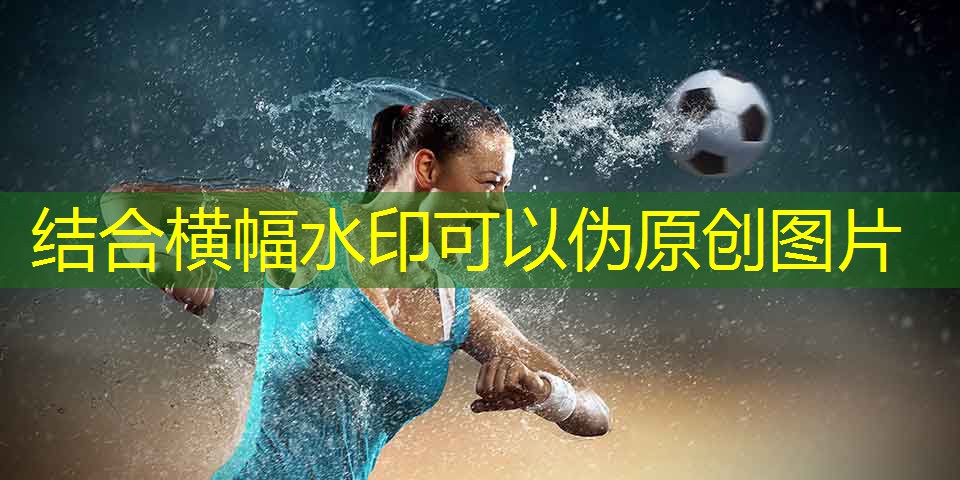 乒乓球台下面轮子怎么调
